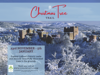 Ludlow Castle Christmas Tree Trail