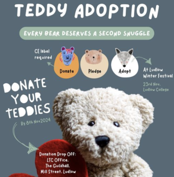 Teddy Adoption